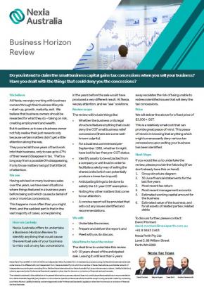 Business Horizon Review